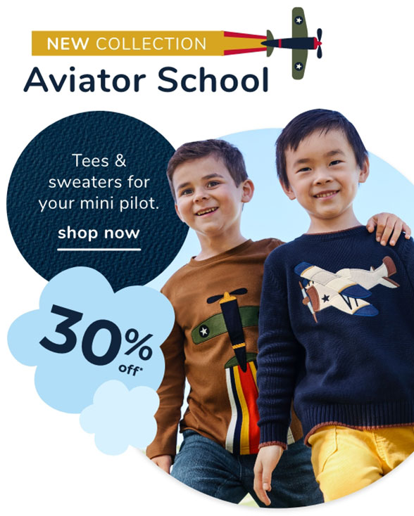 Aviator School