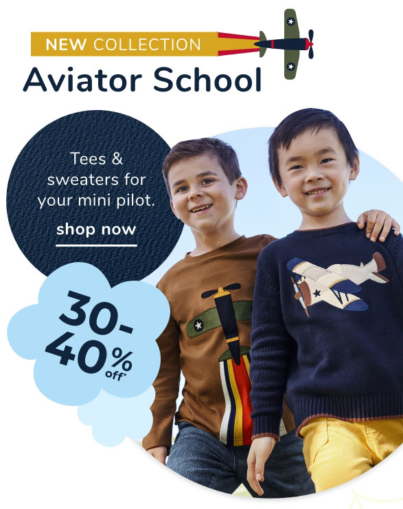 Aviator School